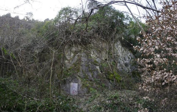 楚岩在襄城区岘山文化旅游区望楚山深处,为密林长草所蔽,难以寻得,但